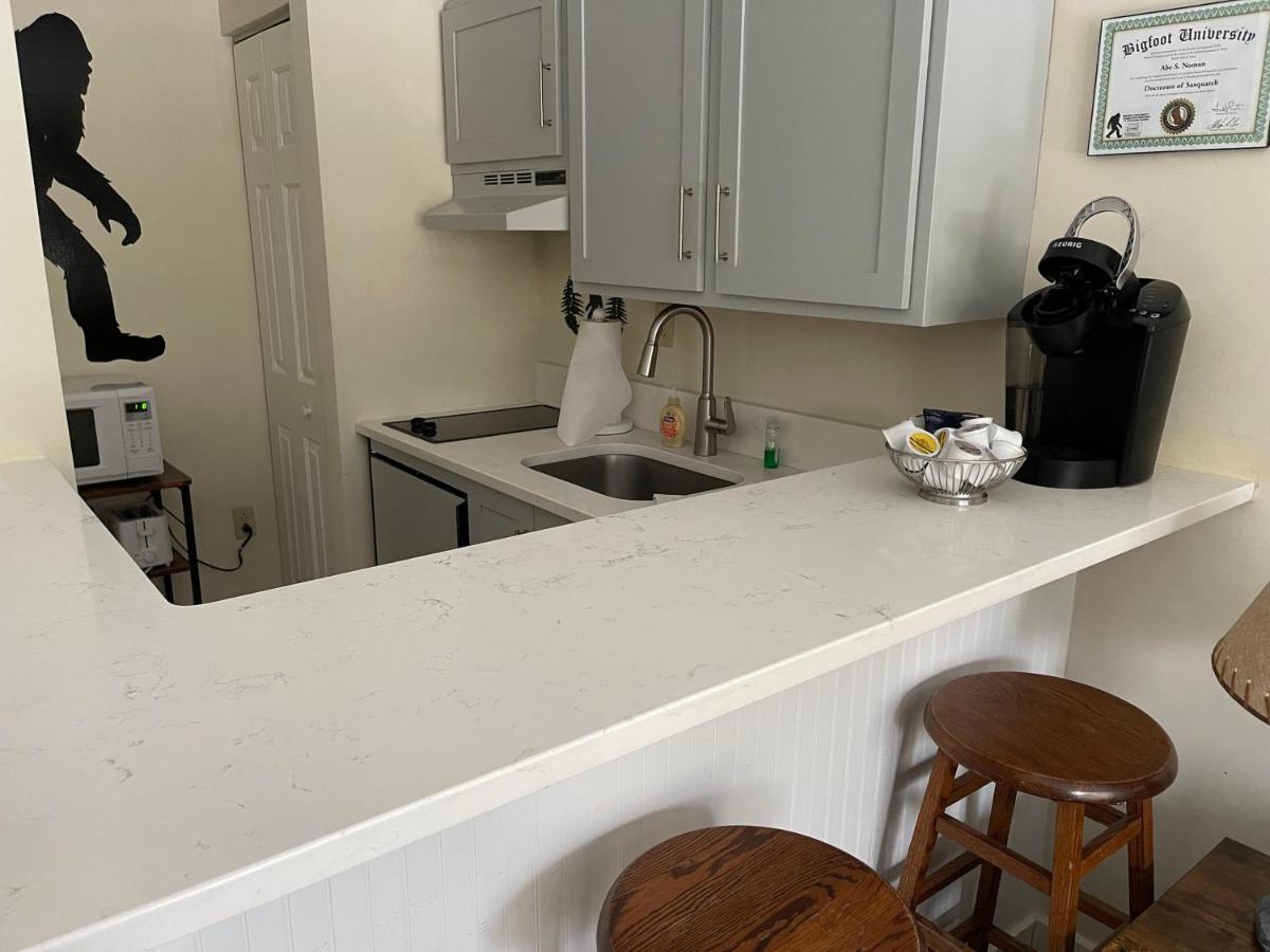 Ski On Off 1Br Suite 1St Flr Sleeps 4 Jiminy Peak Hancock Εξωτερικό φωτογραφία
